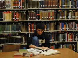 Priorities of a FLEX Alumnus