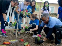FLEX Alumni Grants and FLEX Alumni Global Youth Service Day (GYSD) Matching Grants Programs