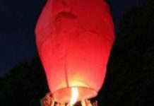 Faces of FLEX Photo and Video Contest Winners