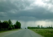 The Bridge And The Road