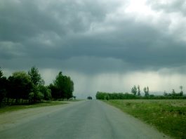 The Bridge And The Road