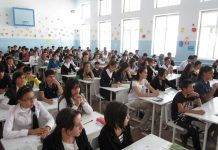 Announcing FLEX Program Testing