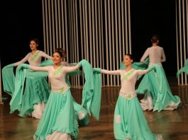 FLEX Experience and How I Became a Professional Dancer