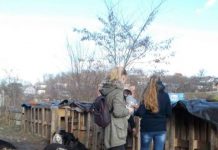 Animal Shelter Assistance in Kalush, Ukraine
