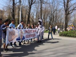 Results: FLEX Alumni Global Youth Service Day Matching Grants Program