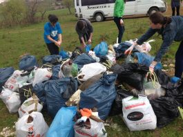 GYSD Georgia: We Belong To Earth