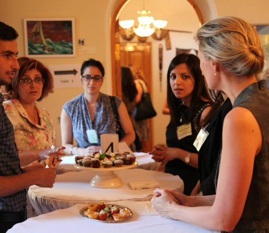 Exchanges To Entrepreneurship Mentoring Program (eTEMP) Creating Jobs and Connections in Armenia