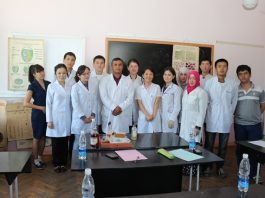 Exchanges to Internship Program: Challenging Perceptions about Government Work in Kyrgyzstan