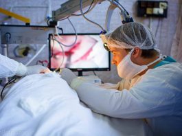 Roman Fishchuk ’04 Founder of Innovative Hearing Center in Ukraine