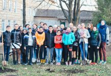 Big Vision, Small Steps