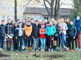 Big Vision, Small Steps