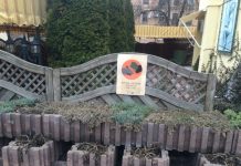 Say “No” to Corruption