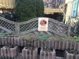 Say “No” to Corruption