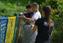 GYSD Project: Shovel for a Smile in Kotor, Montenegro