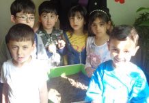 GYSD Project: ‘Green Art Corner’ in Goris, Armenia