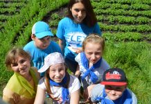 5 Projects Ideas for FLEX Alumni, by FLEX Alumni Grants 2016 Winners :)