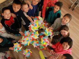 FLEX Alumni and GYSD 2017: Educational Projects