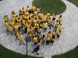 Call for Mentors: South Caucasus FLEX-Ability Workshop 2017