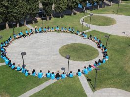 South Caucasus FLEX-Ability Workshop 2017: What’s Your Story?