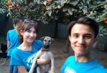 FLEX Alumni in Tajikistan Raise Funds for a Local Animal Shelter