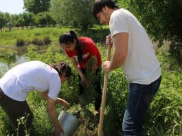 Announcing the 2018 Global Youth Service Day Matching Grants Program