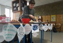 Winter FLEX Alumni Volunteering Activities in Poland