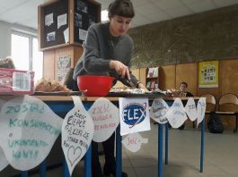Winter FLEX Alumni Volunteering Activities in Poland