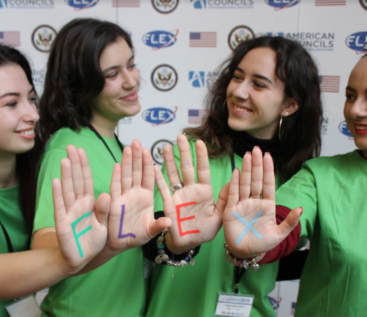 Central Europe FLEX Ability Workshop 2019