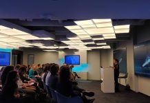 Karine Veersalu ’17: Using Her Professional Experience During the COVID-19 Crisis