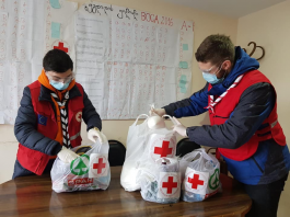 Outstanding Volunteer Projects in Georgia