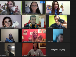 FLEX Alumni Online: Best Practices for Organizing Virtual Events