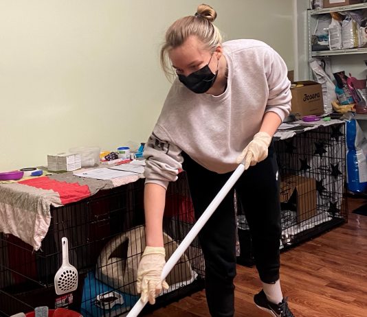 A Purr-fect Match: Alumni Visit Cat Shelter for Community Service Project