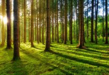 Senior FLEX alumni attend “7 Habits of Highly Effective People” training