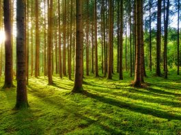 Senior FLEX alumni attend “7 Habits of Highly Effective People” training