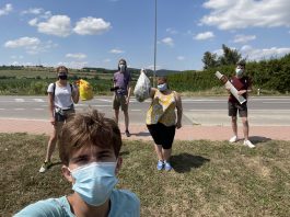 After FLEX: Joining the Alumni Family