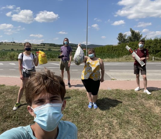 After FLEX: Joining the Alumni Family