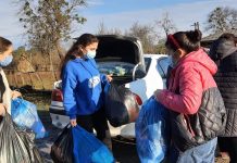 Volunteers in Georgia Lead Sustained Countrywide Impact