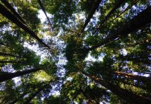 Eco Not Ego: An Environmental Workshop for Youth